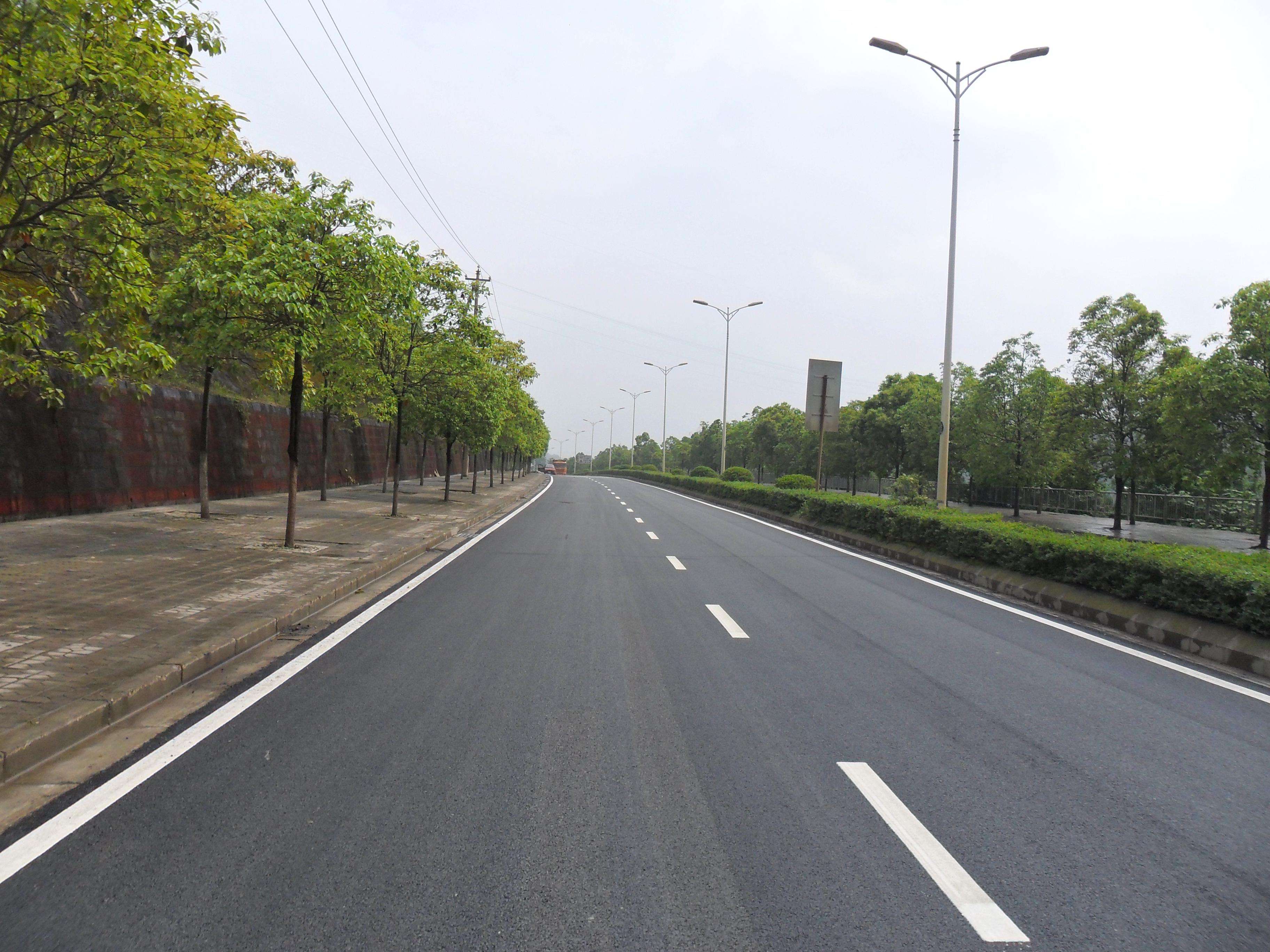 道路雷电官网首页案例